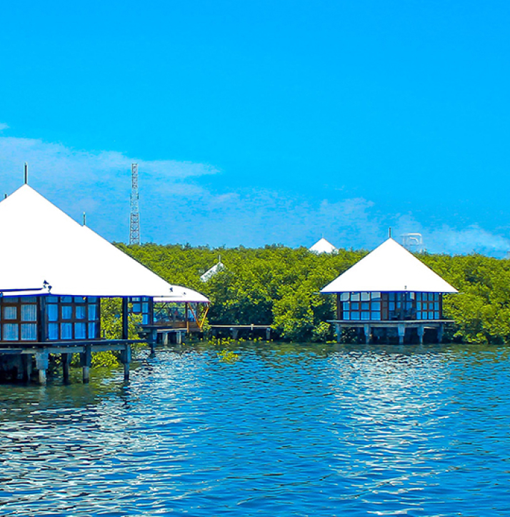 Ecotourism